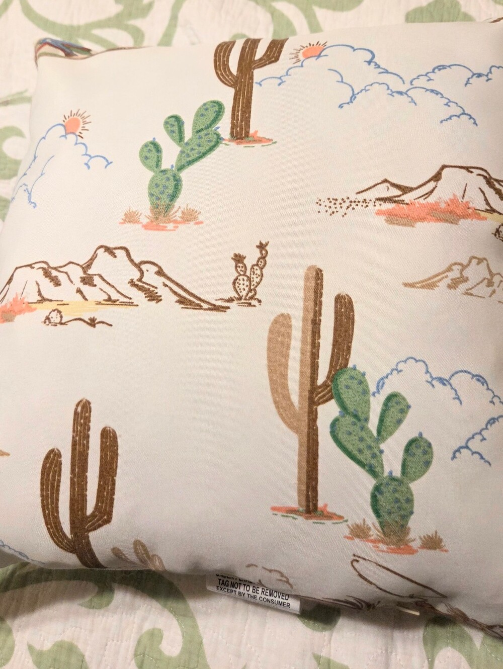 2 Western Rodeo Print Decorative Pillows - Picture 6 of 7